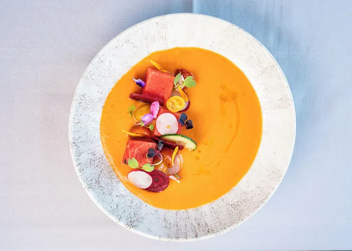 酒店 雷纳维多利亚加泰罗尼亚酒店 龙达